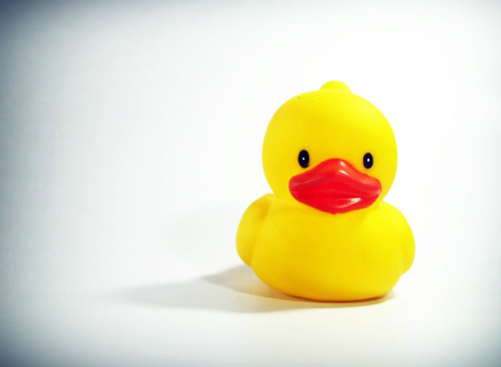 Councils Called Lame Duck Not a Bad Thing