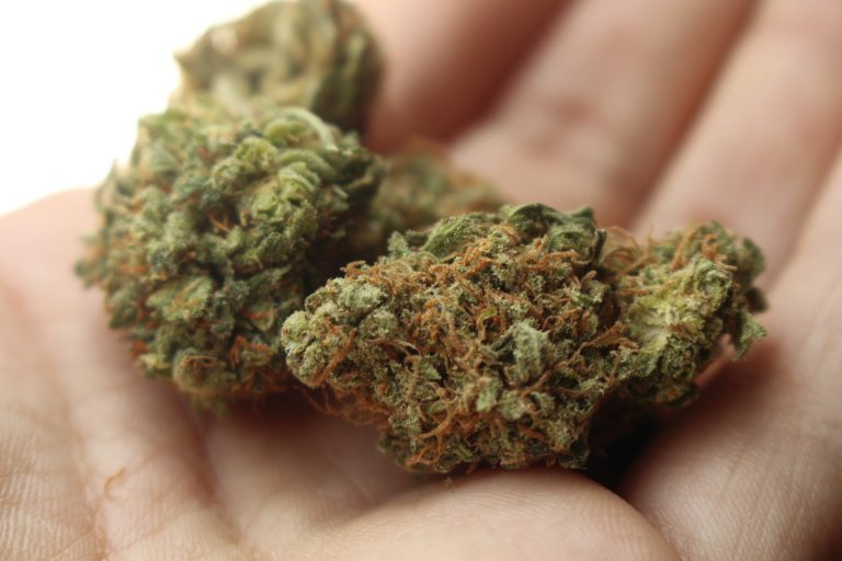Cannabis Muskoka aimed at education of new weed consumers