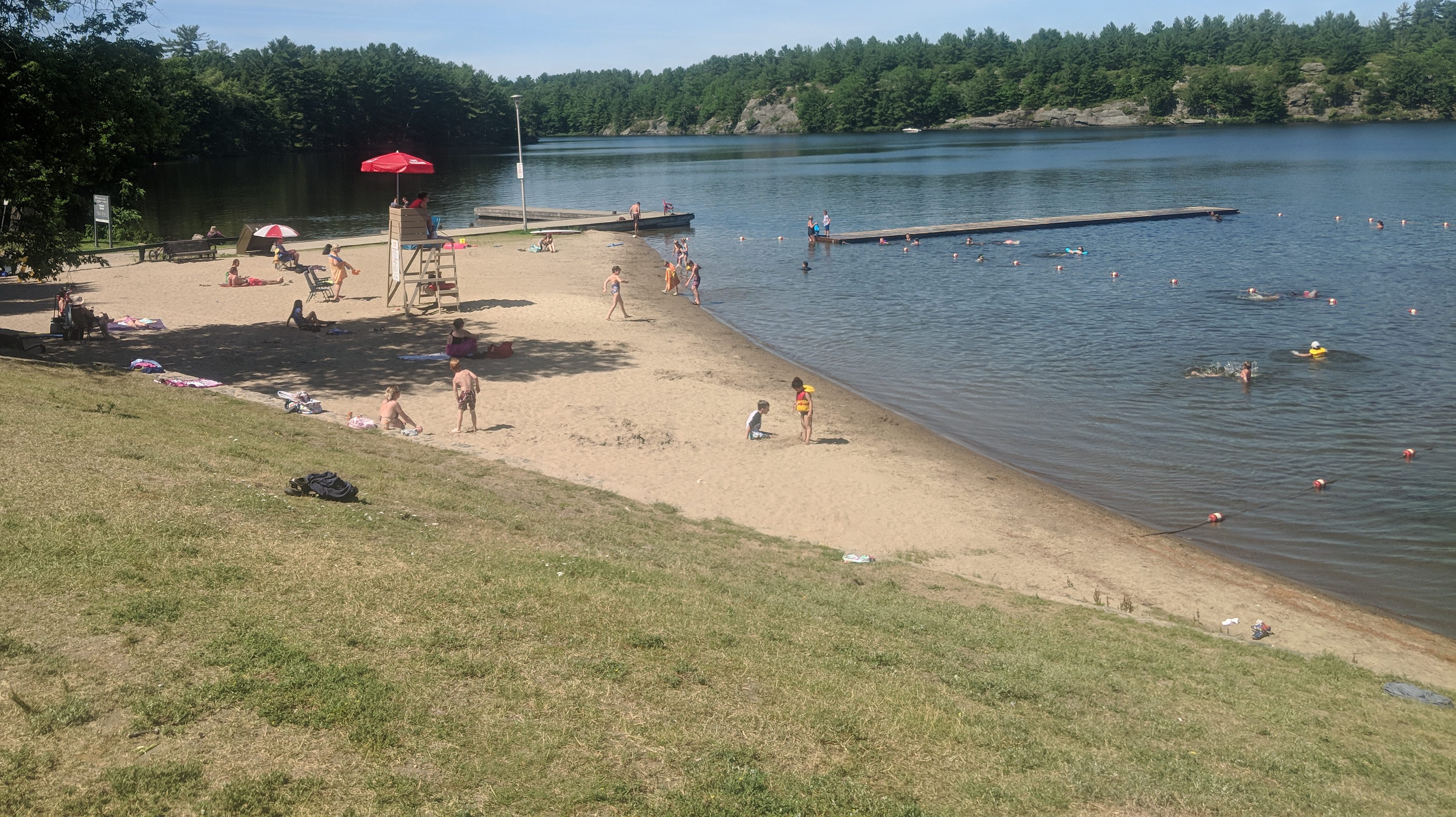 Rain, waterfowl biggest contributors to swim advisories on Gull Lake