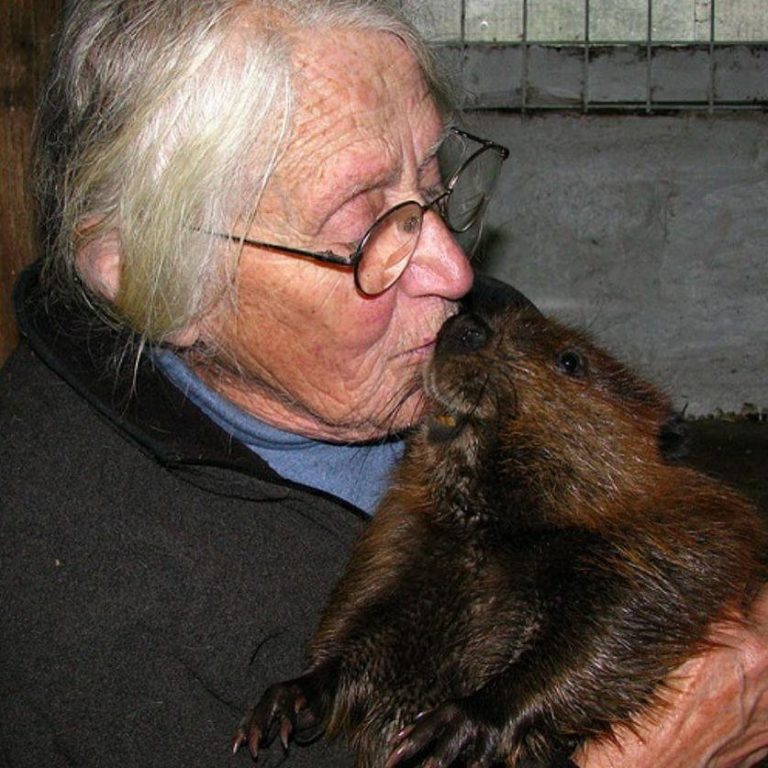 Founder of wildlife sanctuary passed away