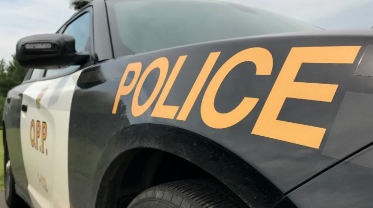OPP warns against thieves stealing delivered packages to homes