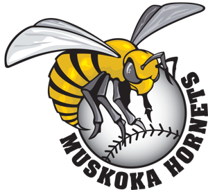 State of the Baseball season in Muskoka is in the hands of provincial framework