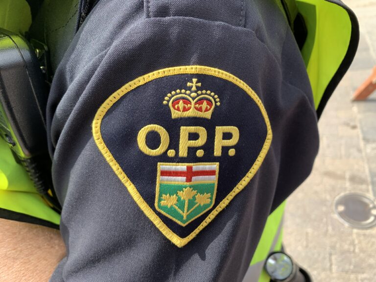 Almaguin Highlands OPP seize rifle in Armour Township 