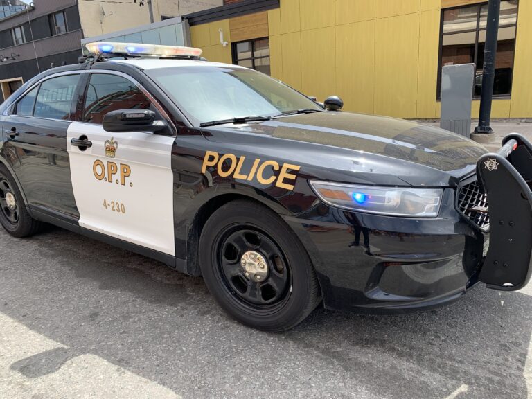 Police seize 47 lbs of drugs in Armour Township