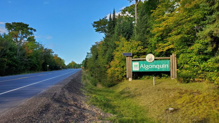 Algonquin Park expected to be full on most fall days 
