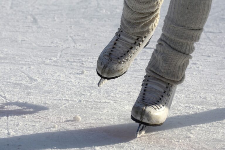skating skate ice rink winter