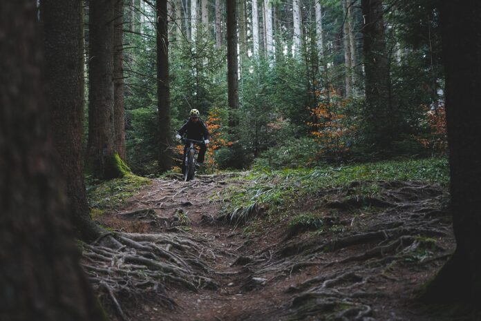 mountain biking trail
